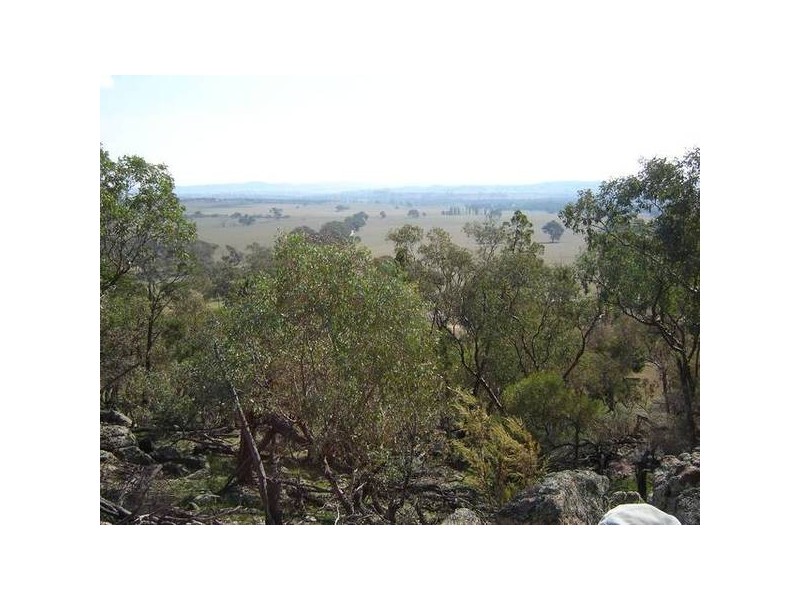 - Peck’s Road, Molong NSW 2866