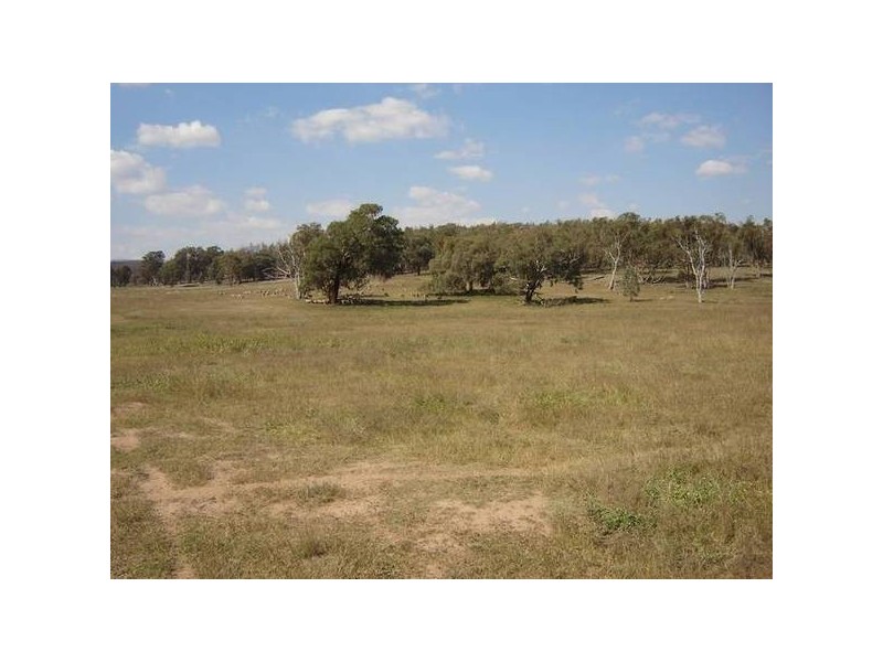 - Peck’s Road, Molong NSW 2866