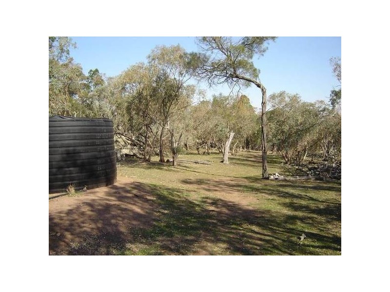 - Peck’s Road, Molong NSW 2866