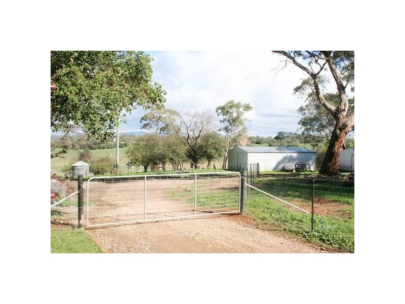 Springvale Lane, Millthorpe NSW 2798