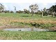 Springvale Lane, Millthorpe NSW 2798