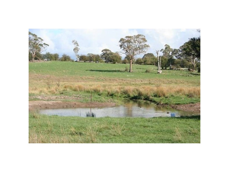 Springvale Lane, Millthorpe NSW 2798