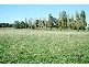 Springvale Lane, Millthorpe NSW 2798