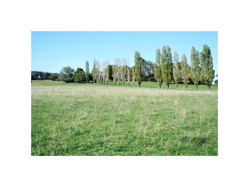 Springvale Lane, Millthorpe NSW 2798