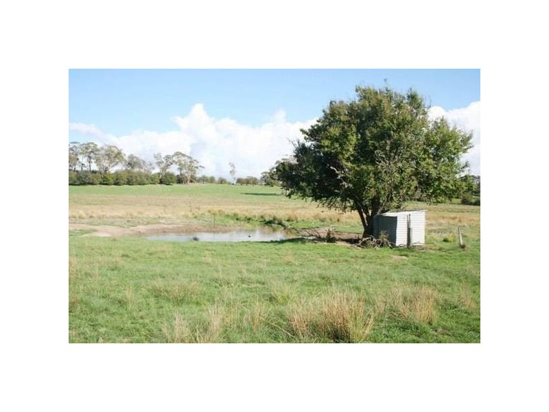 Springvale Lane, Millthorpe NSW 2798