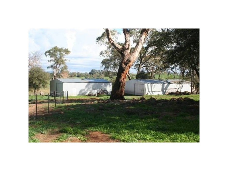 Springvale Lane, Millthorpe NSW 2798