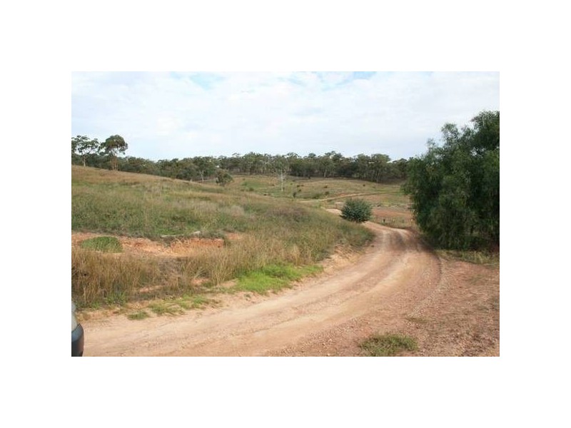 Allambie Road, Orange NSW 2800