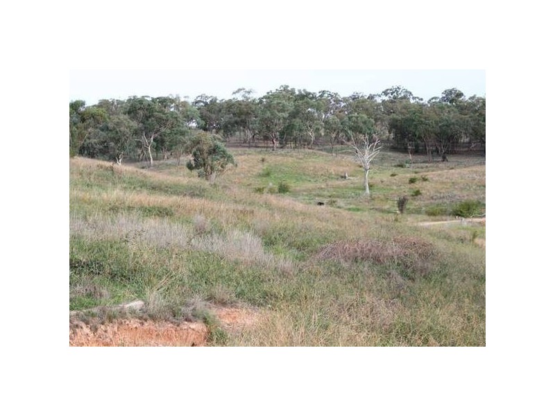 Allambie Road, Orange NSW 2800