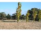 Burrendong Way, Orange NSW 2800