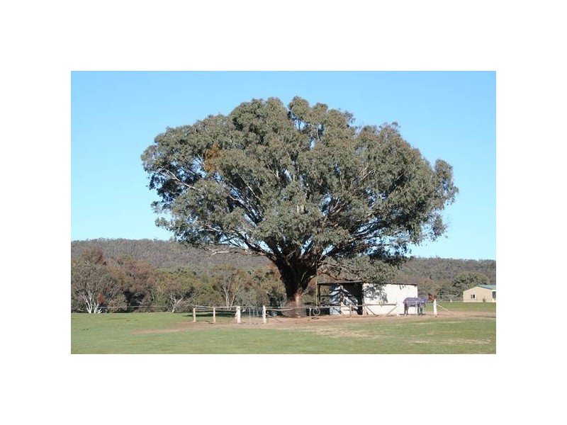 Burrendong Way, Orange NSW 2800