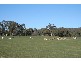 Burrendong Way, Orange NSW 2800