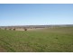 Lot 104,  Yarrawonga, Kite’s Mountain, Molong NSW 2866