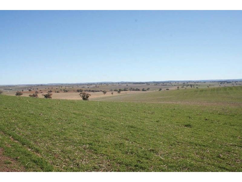 Lot 104,  Yarrawonga, Kite’s Mountain, Molong NSW 2866