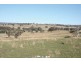 Lot 104,  Yarrawonga, Kite’s Mountain, Molong NSW 2866