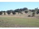 Lot 104,  Yarrawonga, Kite’s Mountain, Molong NSW 2866