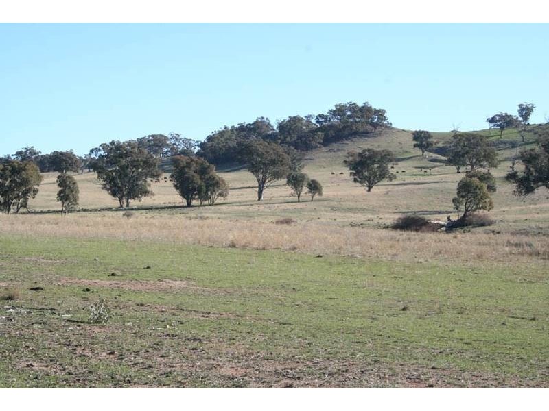 Lot 104,  Yarrawonga, Kite’s Mountain, Molong NSW 2866