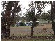 Malongullie, Manildra Road, Molong NSW 2866