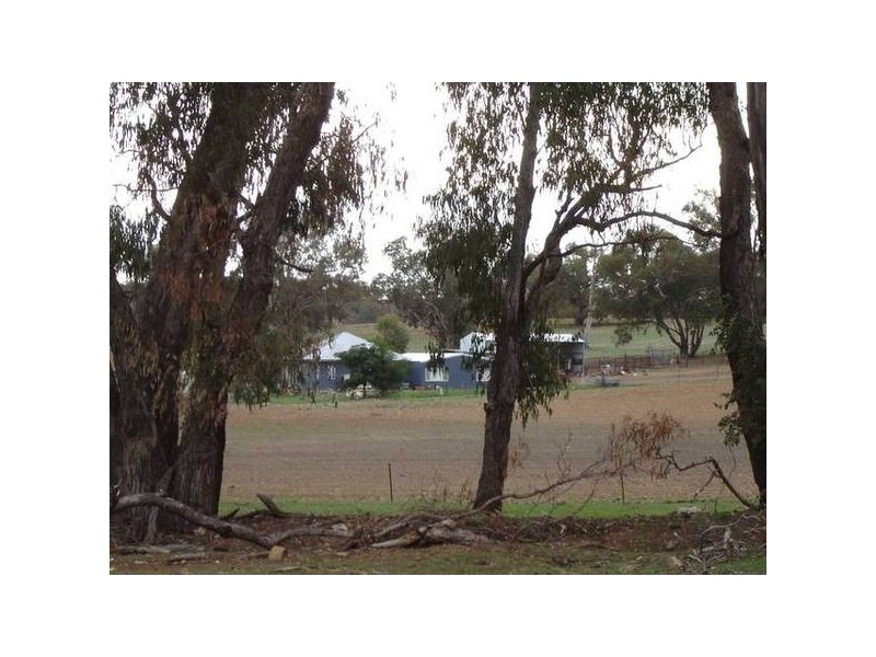 Malongullie, Manildra Road, Molong NSW 2866