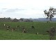 Malongullie, Manildra Road, Molong NSW 2866
