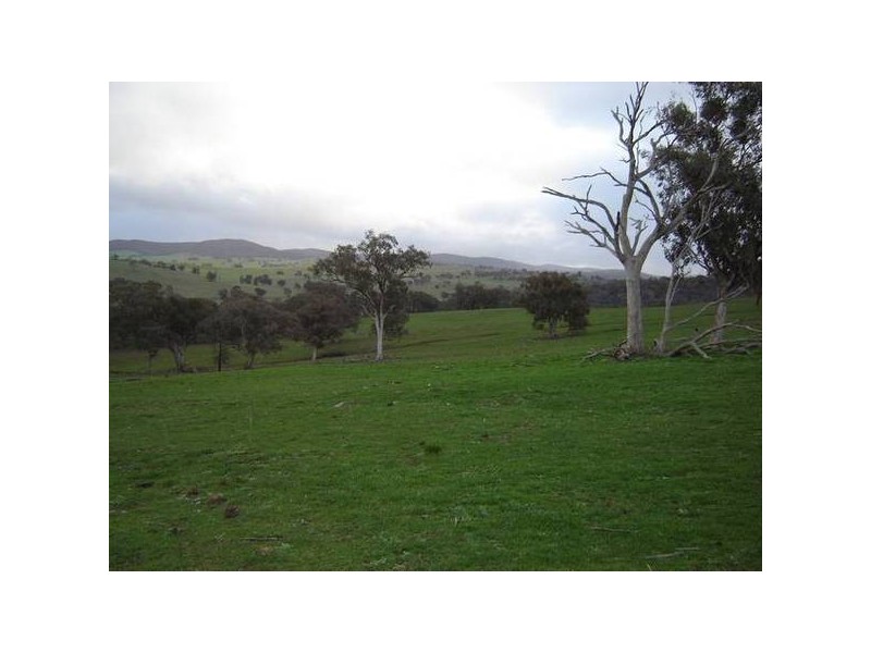 Malongullie, Manildra Road, Molong NSW 2866