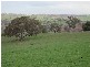 Malongullie, Manildra Road, Molong NSW 2866