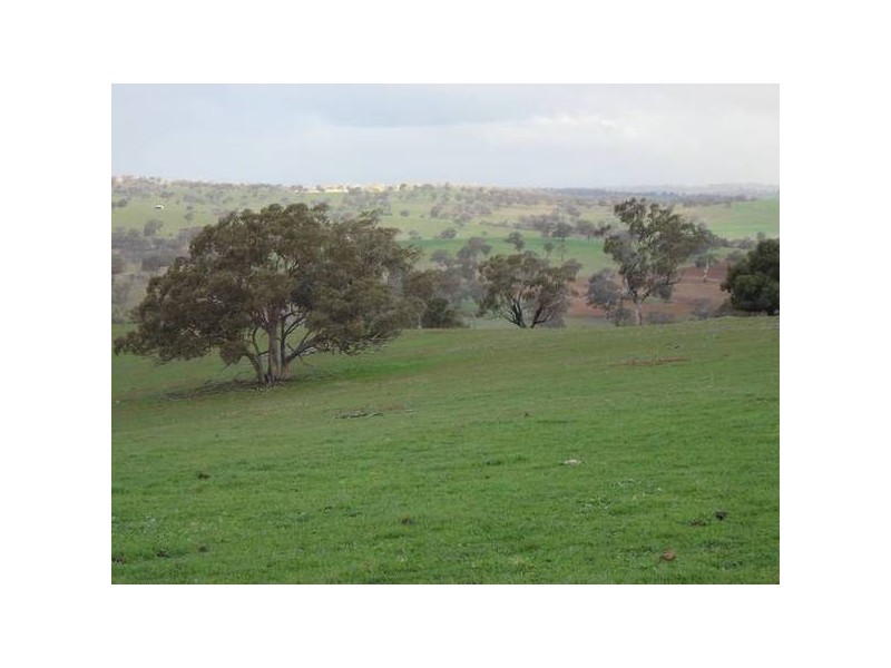 Malongullie, Manildra Road, Molong NSW 2866