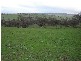Malongullie, Manildra Road, Molong NSW 2866