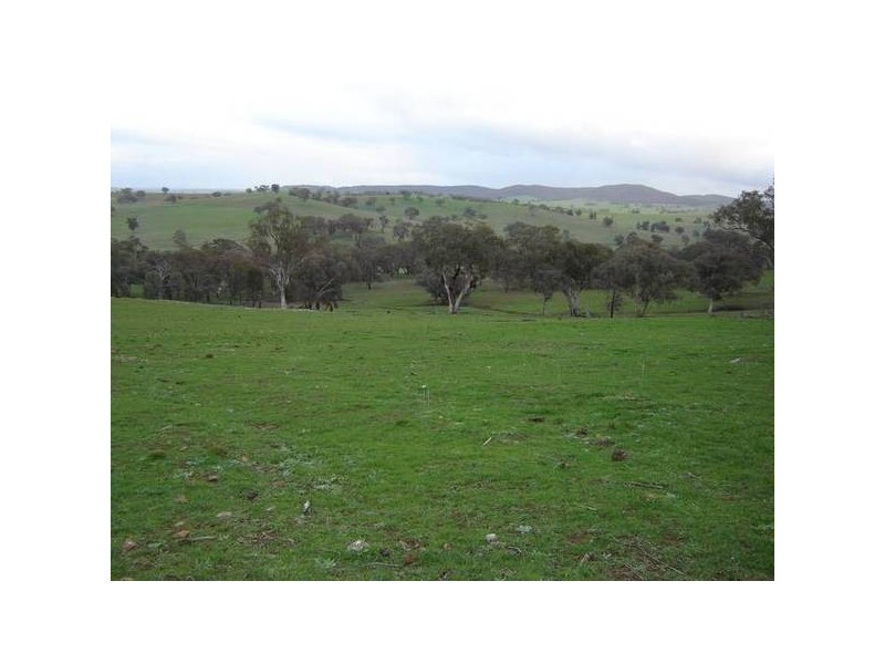 Malongullie, Manildra Road, Molong NSW 2866