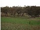 Malongullie, Manildra Road, Molong NSW 2866
