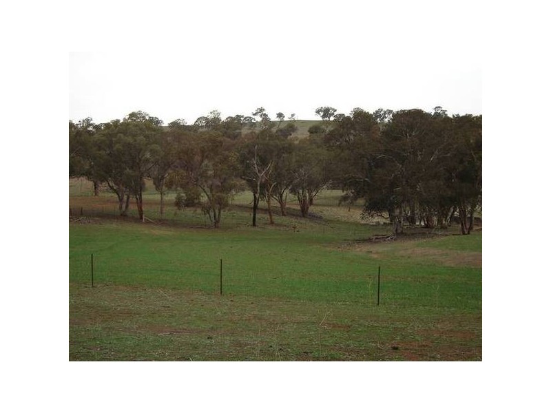 Malongullie, Manildra Road, Molong NSW 2866