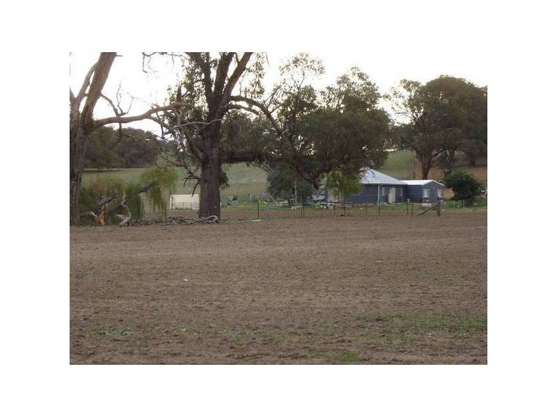 Malongullie, Manildra Road, Molong NSW 2866