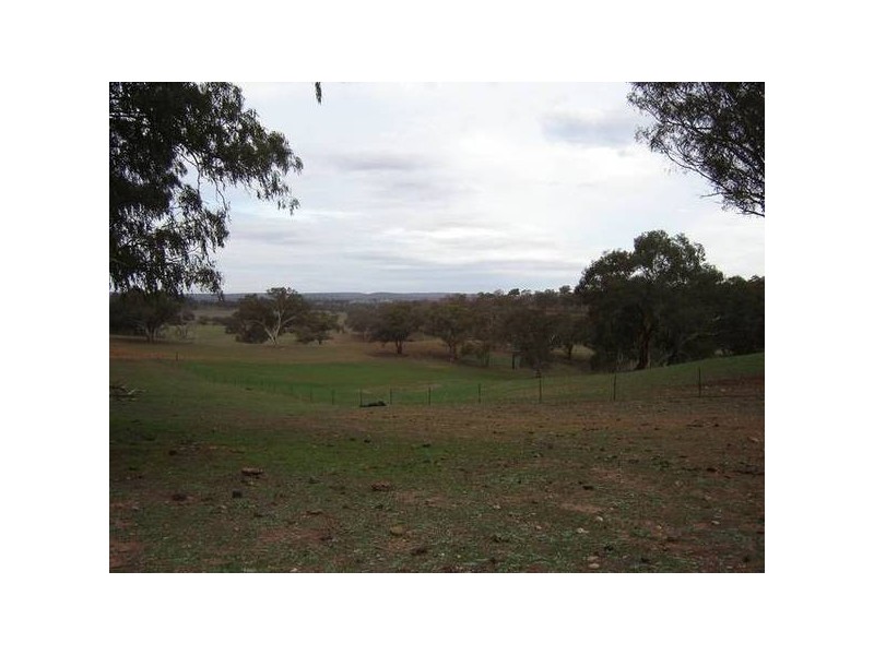 Malongullie, Manildra Road, Molong NSW 2866