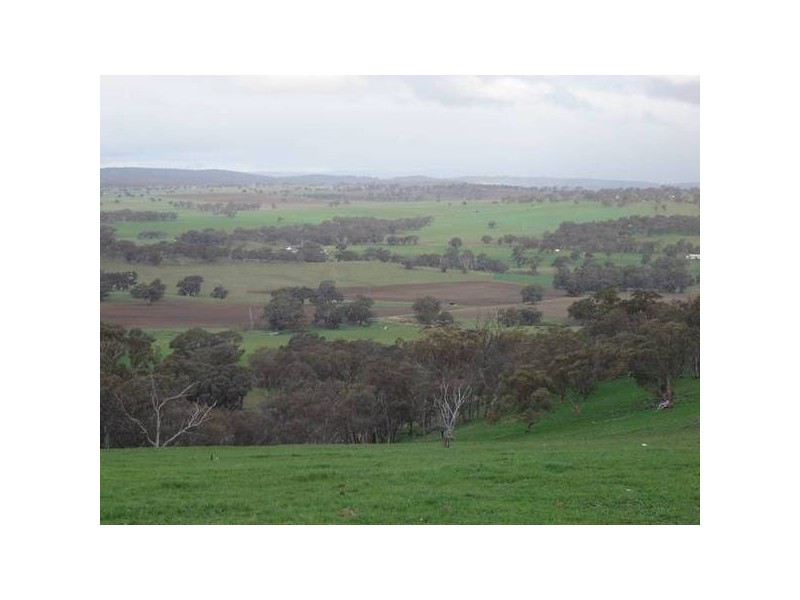 Malongullie, Manildra Road, Molong NSW 2866