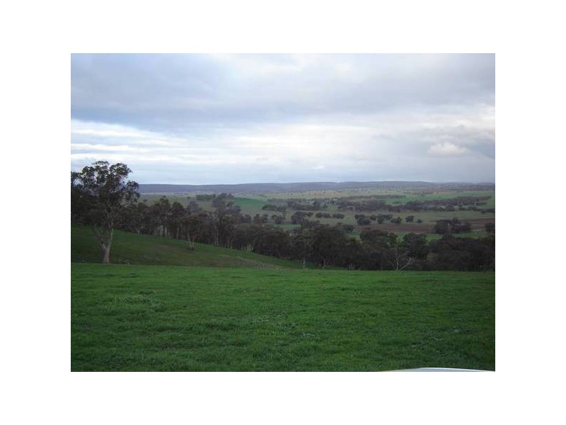 Malongullie, Manildra Road, Molong NSW 2866
