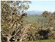 Malongullie, Manildra Road, Molong NSW 2866