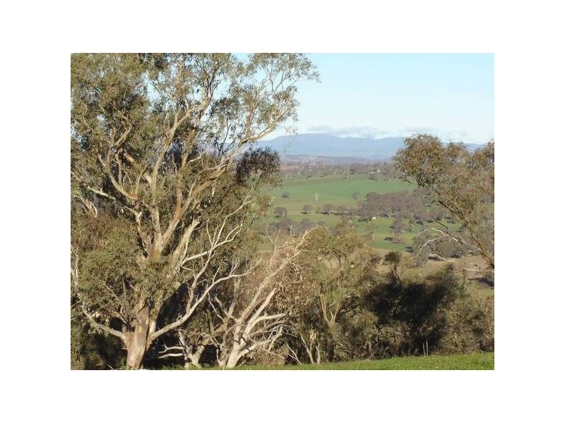 Malongullie, Manildra Road, Molong NSW 2866