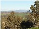 Malongullie, Manildra Road, Molong NSW 2866