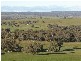 Malongullie, Manildra Road, Molong NSW 2866