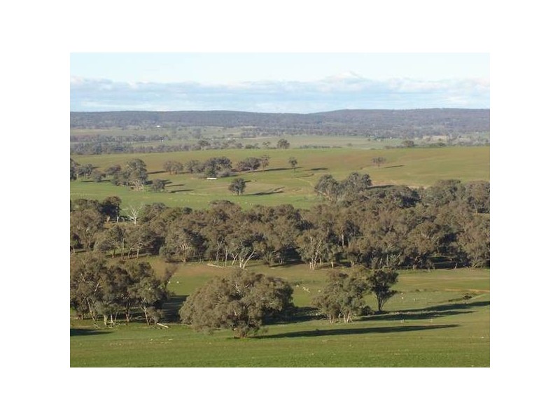 Malongullie, Manildra Road, Molong NSW 2866