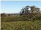 Malongullie, Manildra Road, Molong NSW 2866