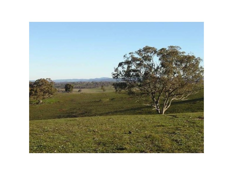 Malongullie, Manildra Road, Molong NSW 2866