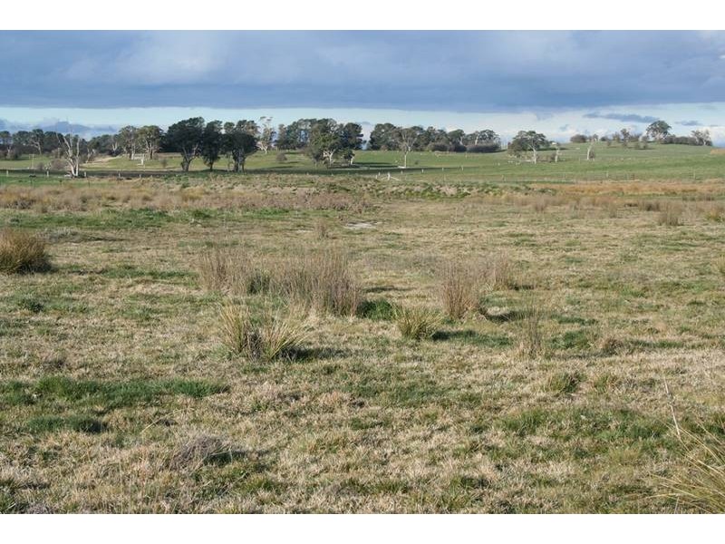 51 Eves Lane, Millthorpe NSW 2798