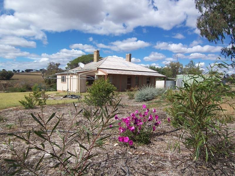 Cumnock Yeoval Road, Molong NSW 2866