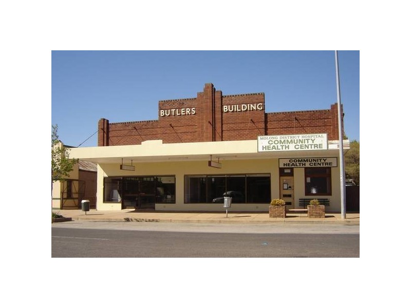 26 Bank Street, Molong NSW 2866