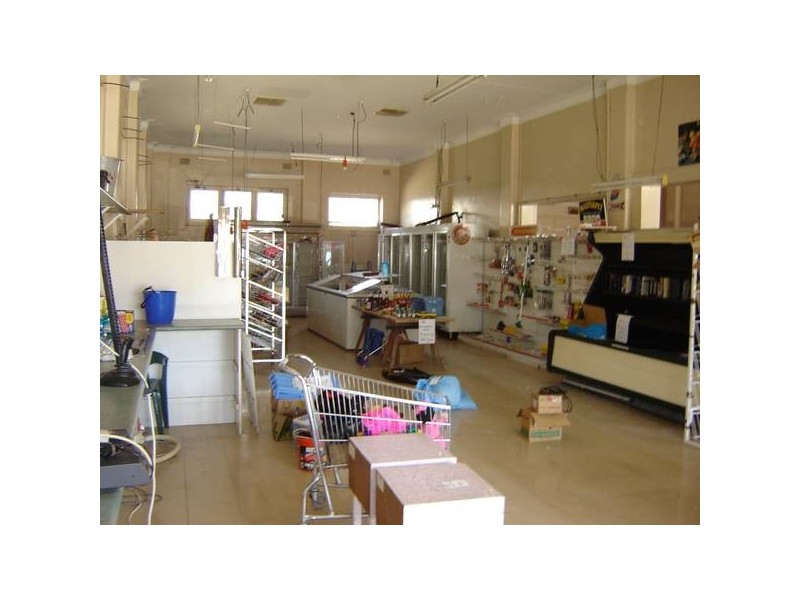 26 Bank Street, Molong NSW 2866