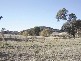 2 Mitchell Highway, Molong NSW 2866
