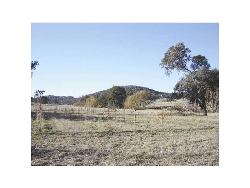2 Mitchell Highway, Molong NSW 2866