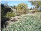 2 Mitchell Highway, Molong NSW 2866