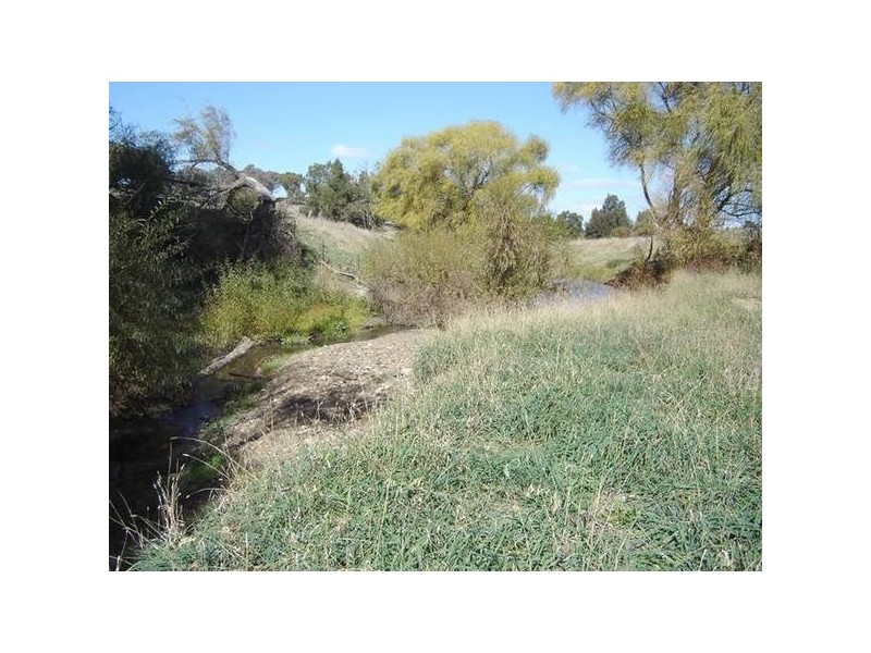 2 Mitchell Highway, Molong NSW 2866