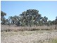 2 Mitchell Highway, Molong NSW 2866